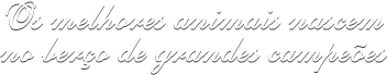slogan